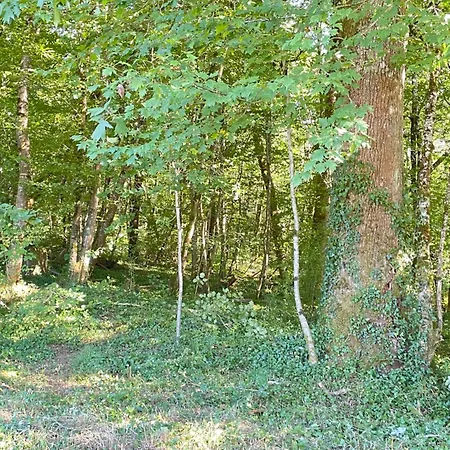 Campo de lujo La Tente Chemin D'etoiles