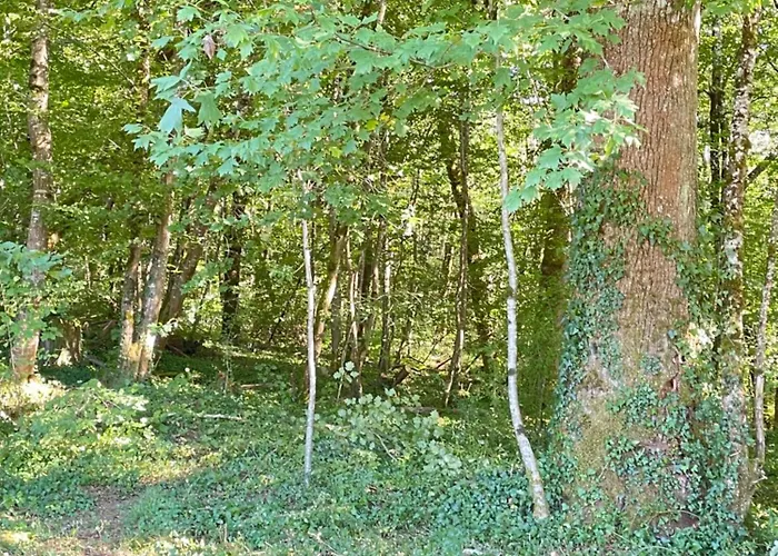 אוהל מפואר La Tente Chemin D'etoiles